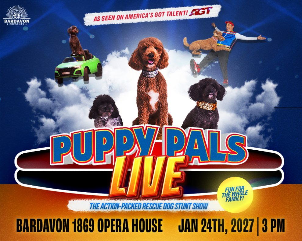 Puppy Pals Live – The Action-Packed Comedic Stunt Dog Show